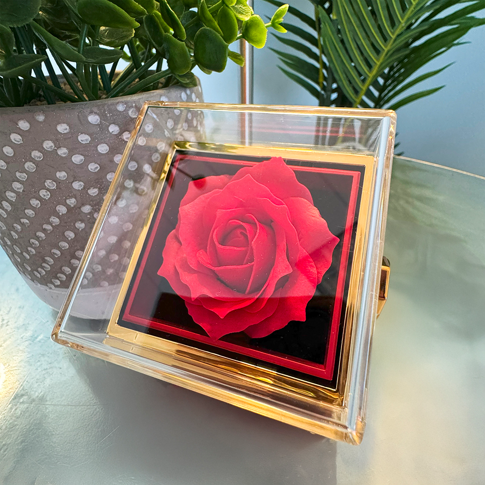 Preserved red rose box
