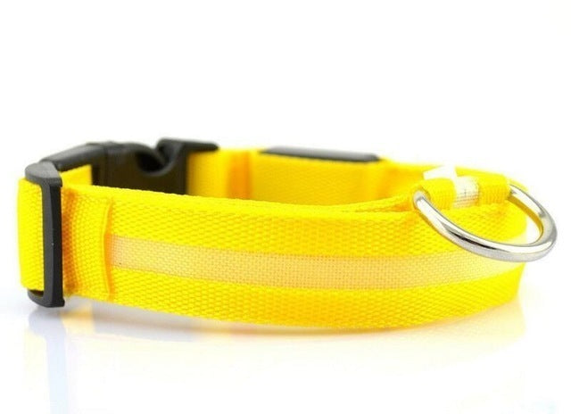 USB Rechargeable LED Dog Collar – Light‑Up Safety Collar for Pets Night Visibility