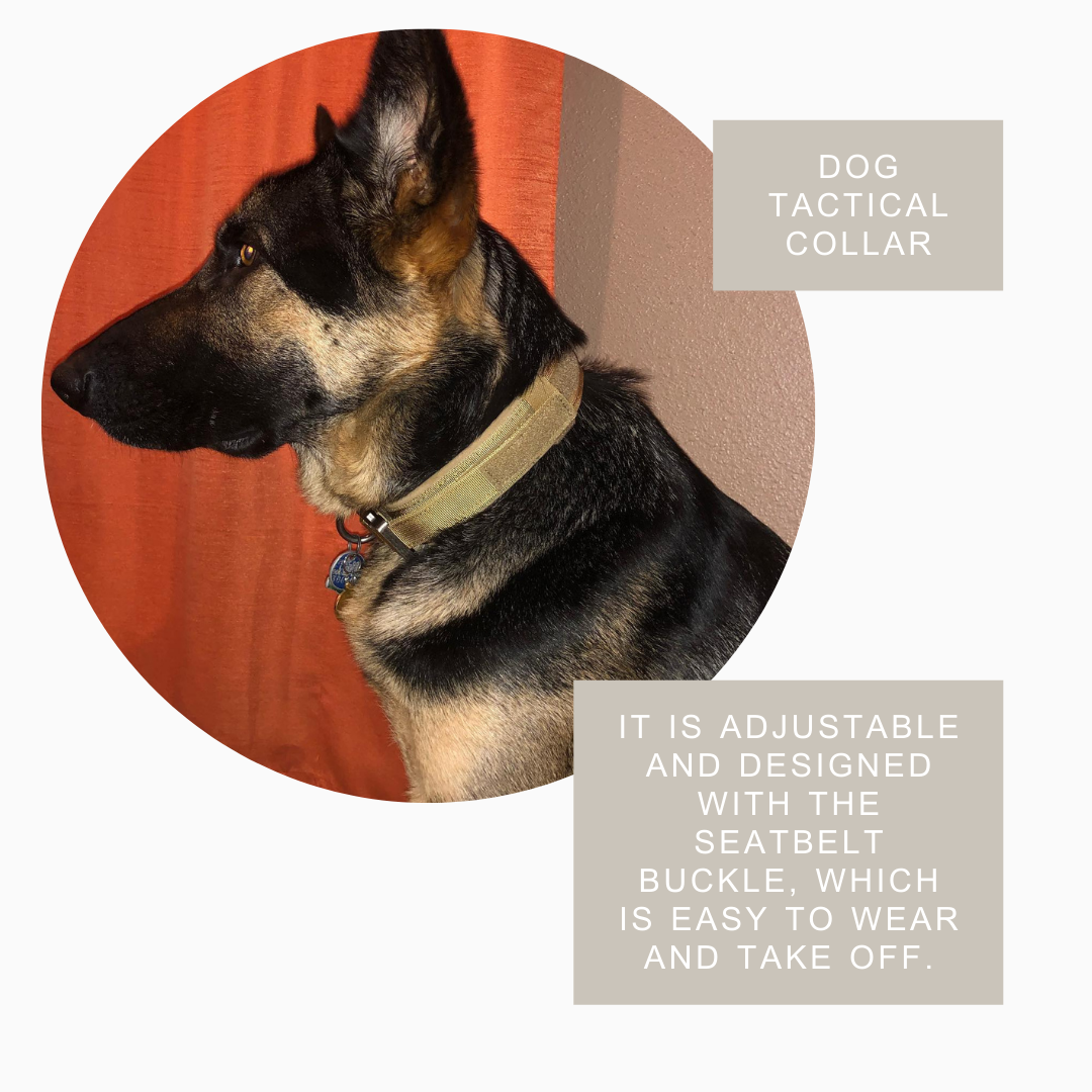 Durable Military Tactical Dog Collar – Heavy Duty / Adjustable K9 Gear