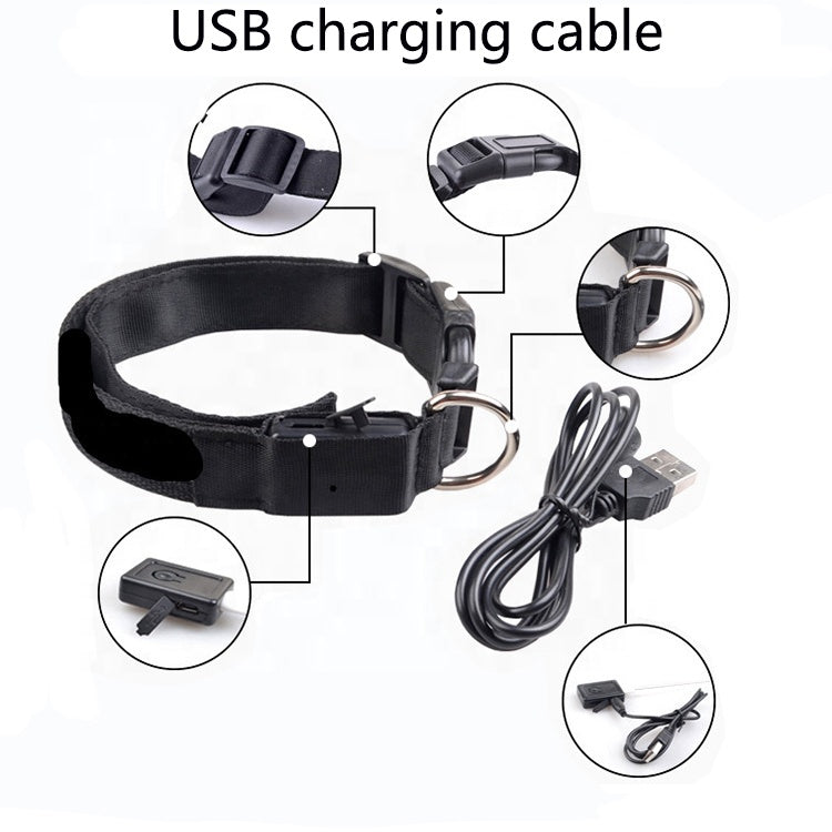 USB Rechargeable LED Dog Collar – Light‑Up Safety Collar for Pets Night Visibility