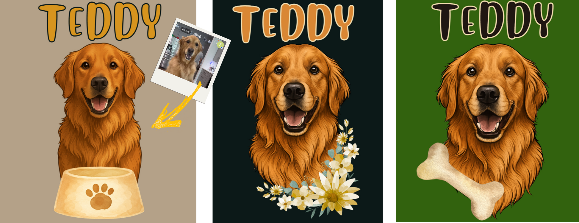 Examples of Pet Design Options