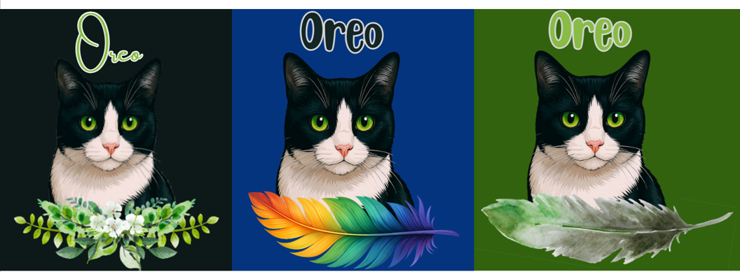 Examples of Pet Design Options