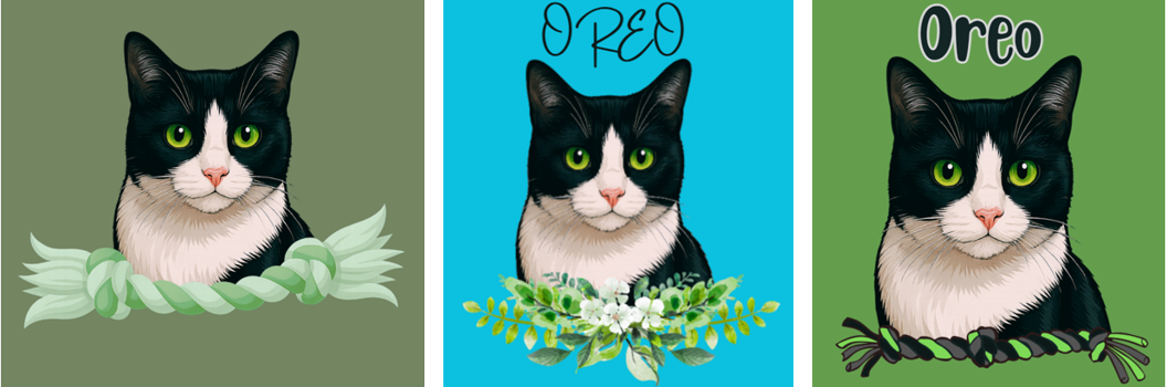 Examples of Pet Design Options