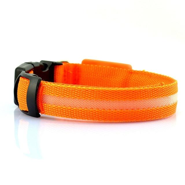 USB Rechargeable   LED Dog Collar – Light‑Up Safety Collar for Pets Night Visibility