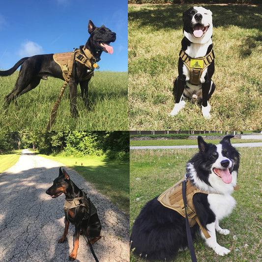 Tactical Dog Harness & Leash Set - Adjustable Military K9 Gear
